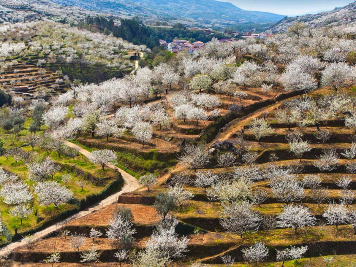 Casas Rurales Acebuche, Descubre el Otoño Mágico en el Valle de Ambroz Casas del Monte Exterior foto