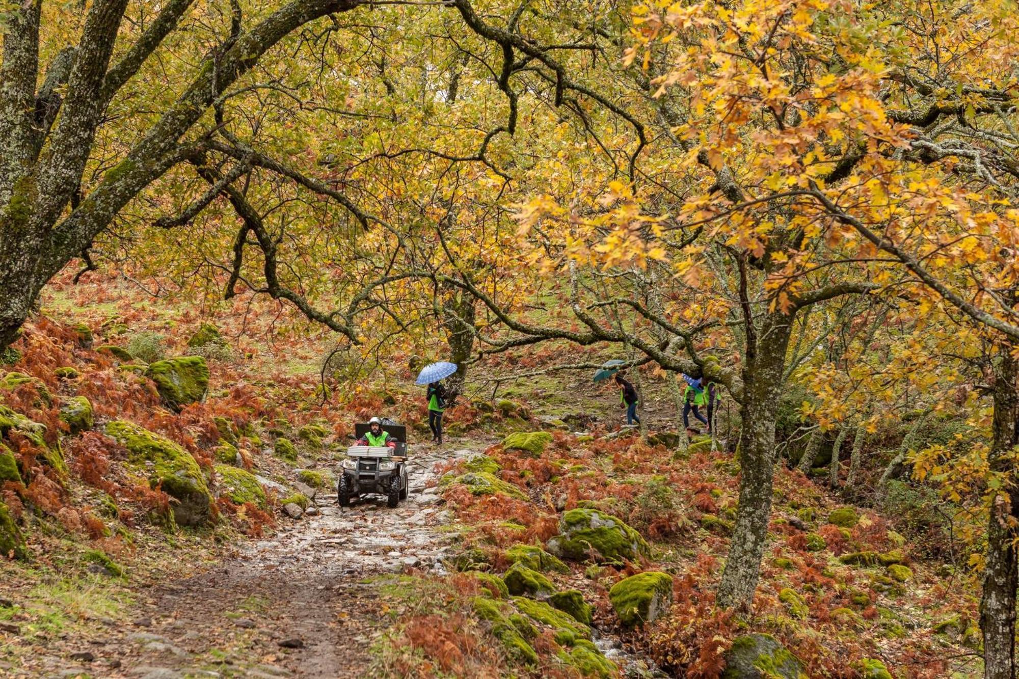 Casas Rurales Acebuche, Descubre el Otoño Mágico en el Valle de Ambroz Casas del Monte Exterior foto