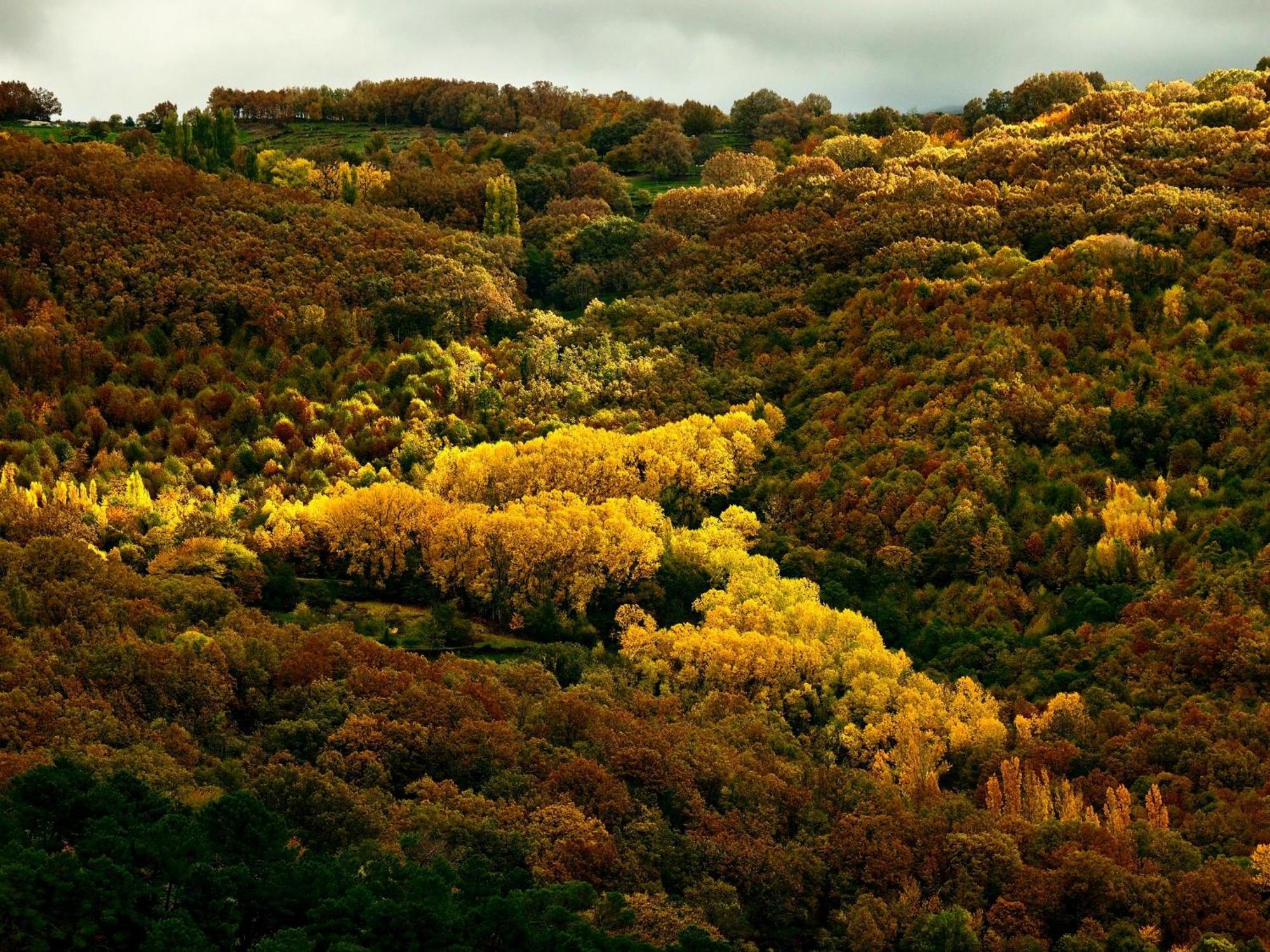 Casas Rurales Acebuche, Descubre el Otoño Mágico en el Valle de Ambroz Casas del Monte Exterior foto