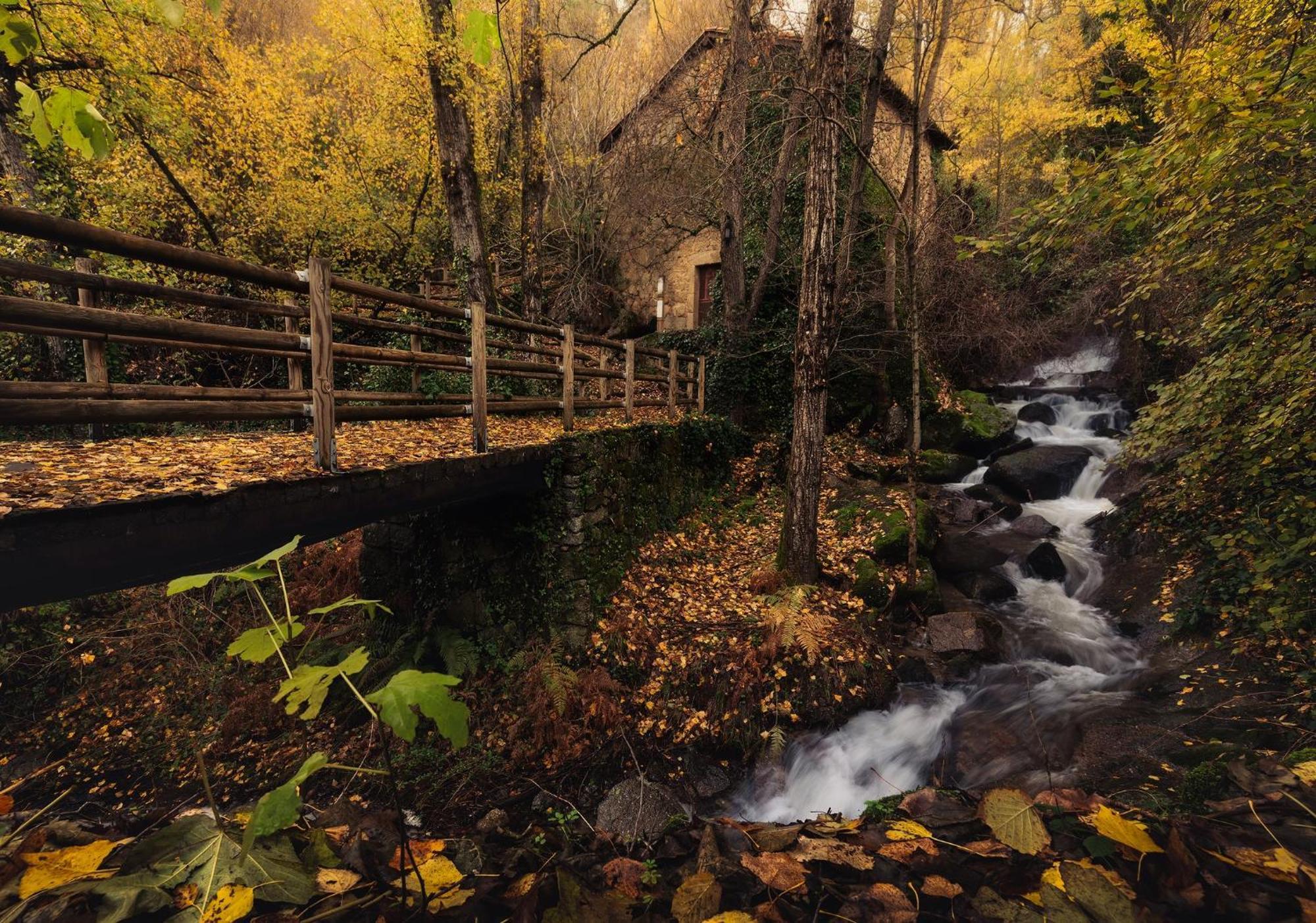 Casas Rurales Acebuche, Descubre el Otoño Mágico en el Valle de Ambroz Casas del Monte Exterior foto