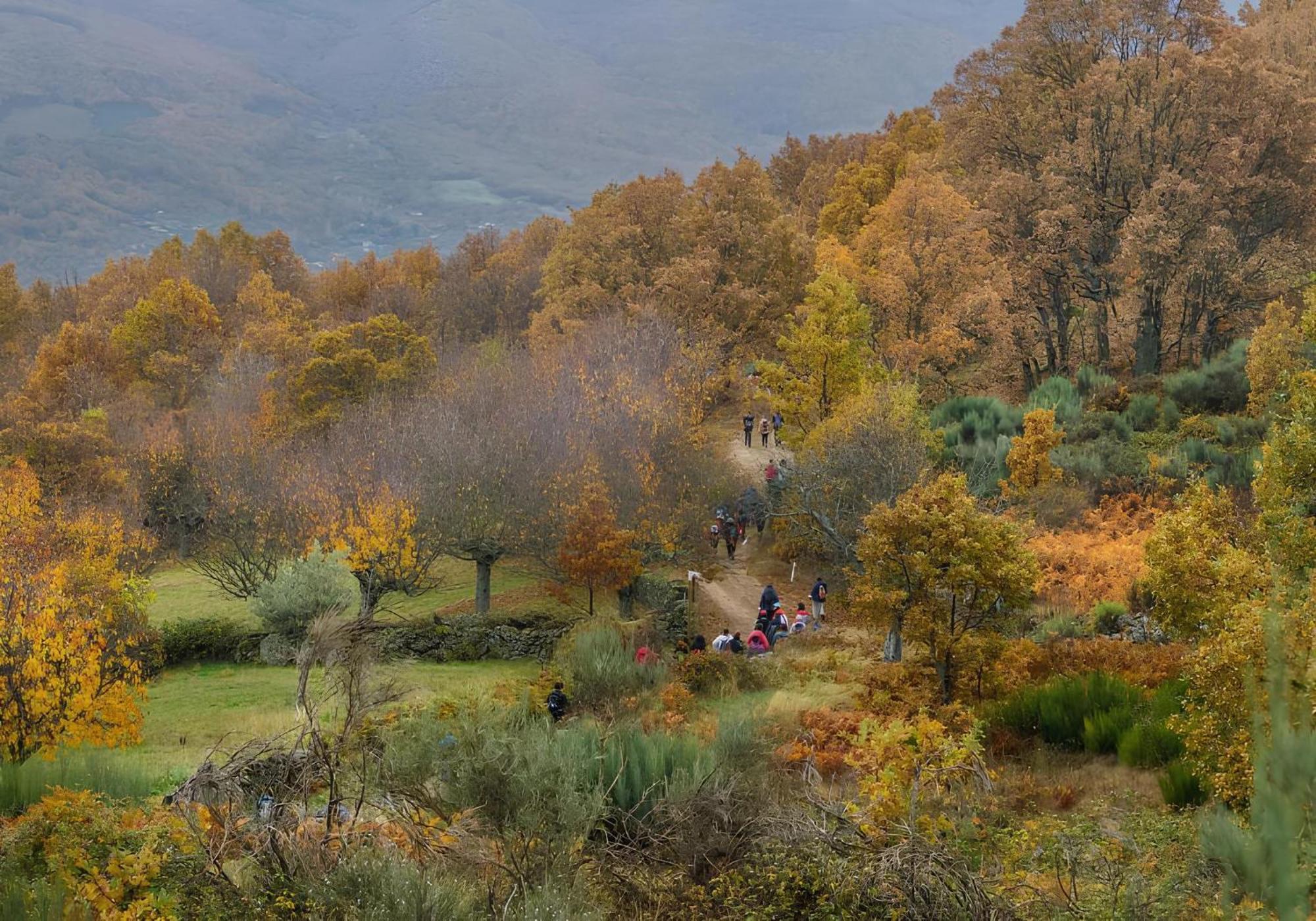 Casas Rurales Acebuche, Descubre el Otoño Mágico en el Valle de Ambroz Casas del Monte Exterior foto